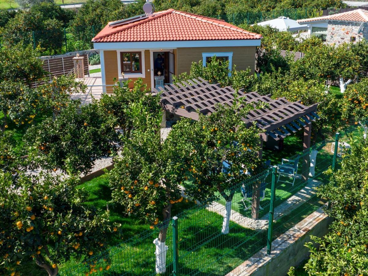 Desa Green Homes Epidaurus Zewnętrze zdjęcie
