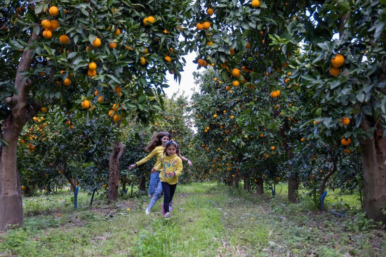 Desa Green Homes Epidaurus Zewnętrze zdjęcie